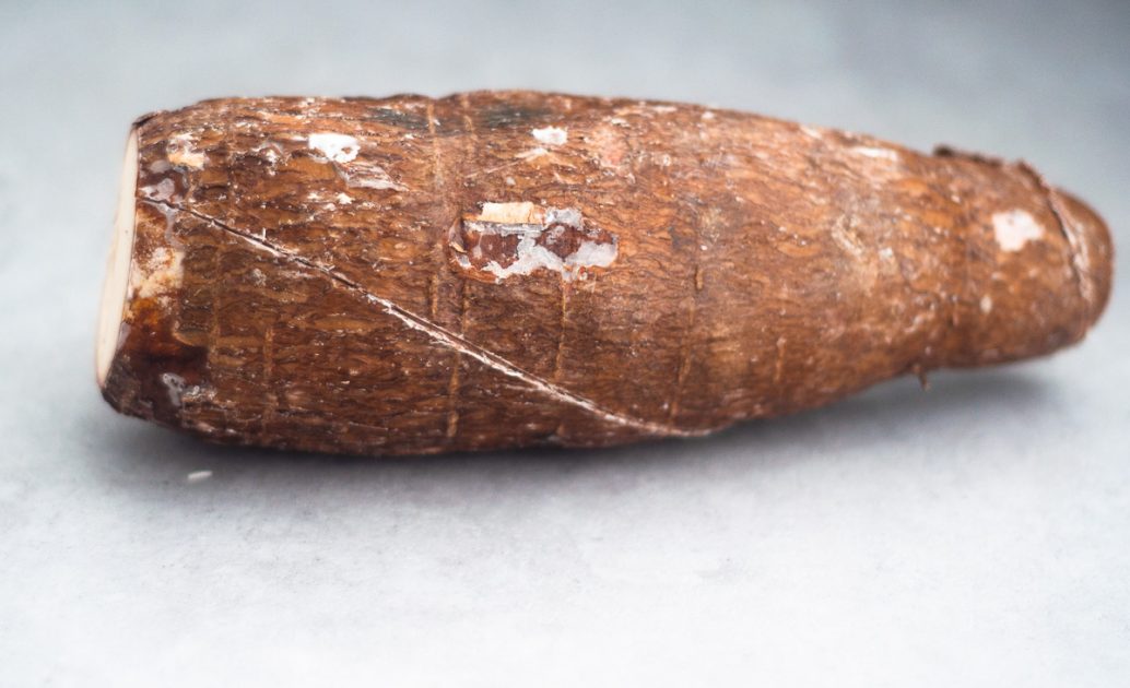 Whole cassava root with the ends cut off
