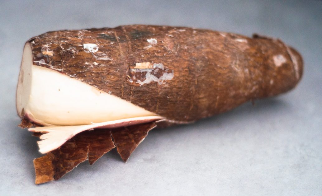 Whole cassava root partially peeled