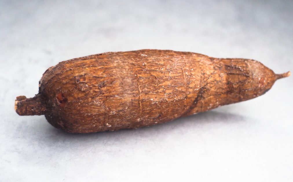 A whole cassava root