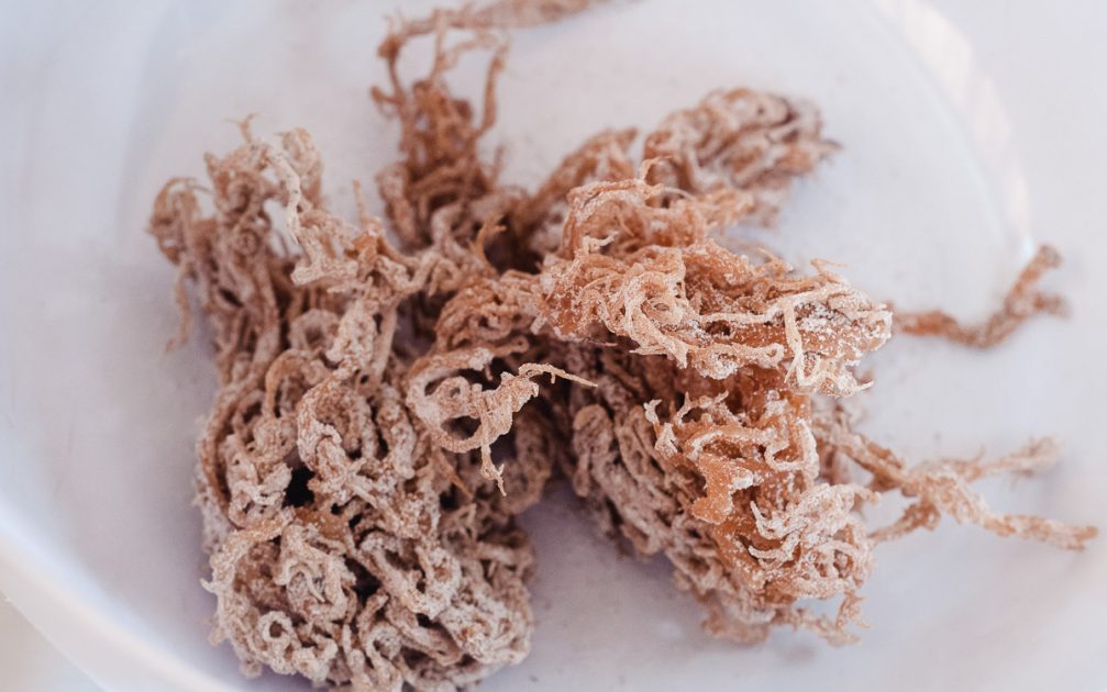 Dried Irish Moss in a white bowl