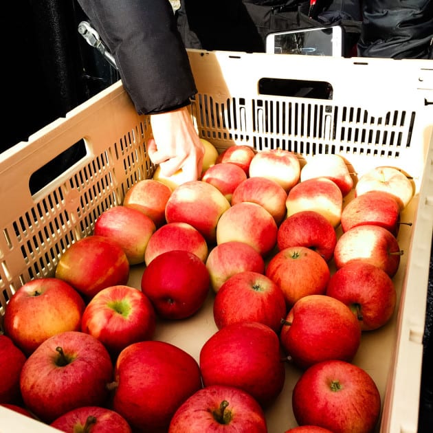 Apple Farm to Fruit Bowl Tour in Ontario