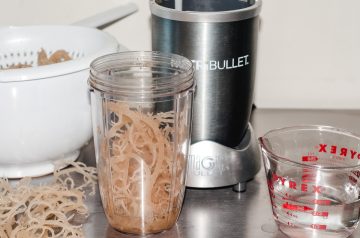Irish Moss gel in a NutriBullet blender