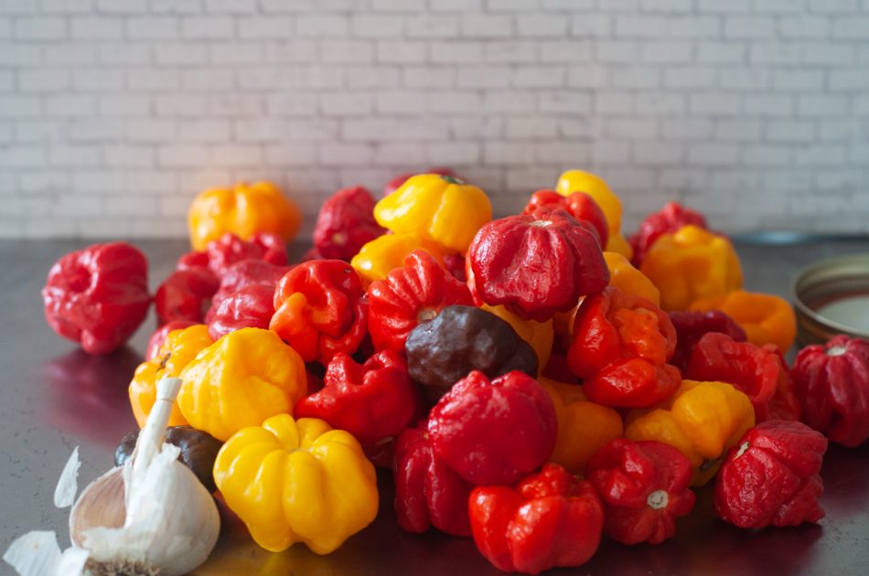 A pile of fresh red and yellow habanero peppers.