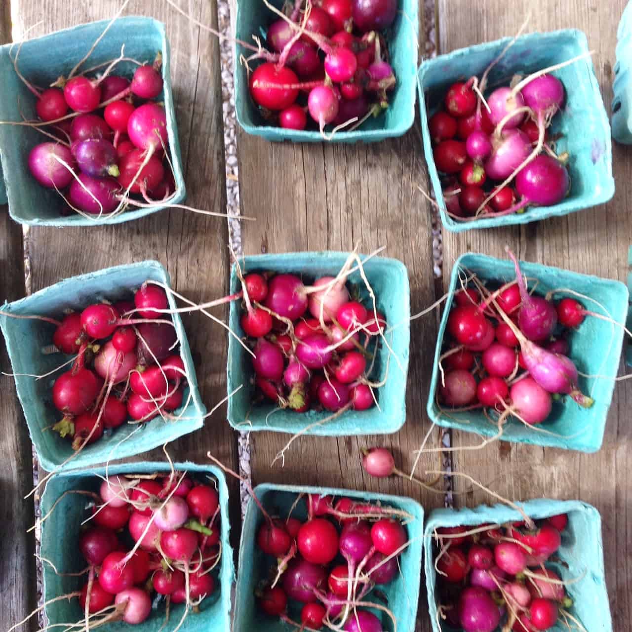 Small cartons of radishes at Cultivating Opportunities farm