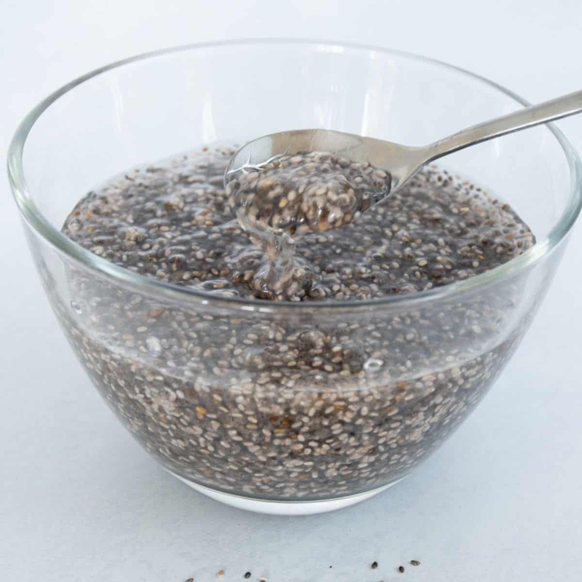 Chia Gel for Puddings and Smoothies