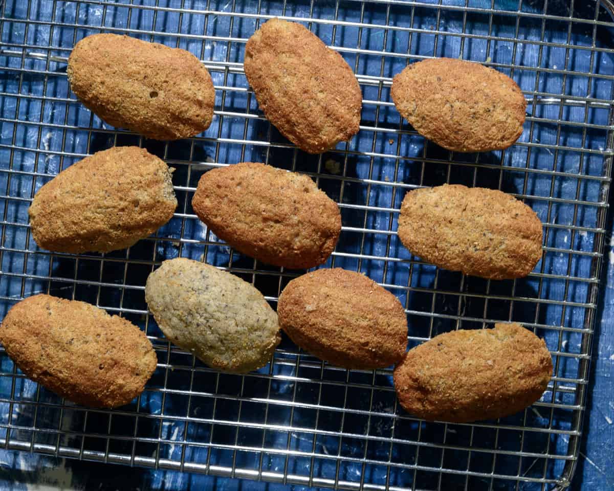 Blue Corn Madeleines on a wire cooling rack